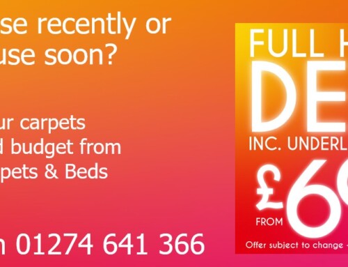 Full House Carpet Deal – Transform Your Home Affordably