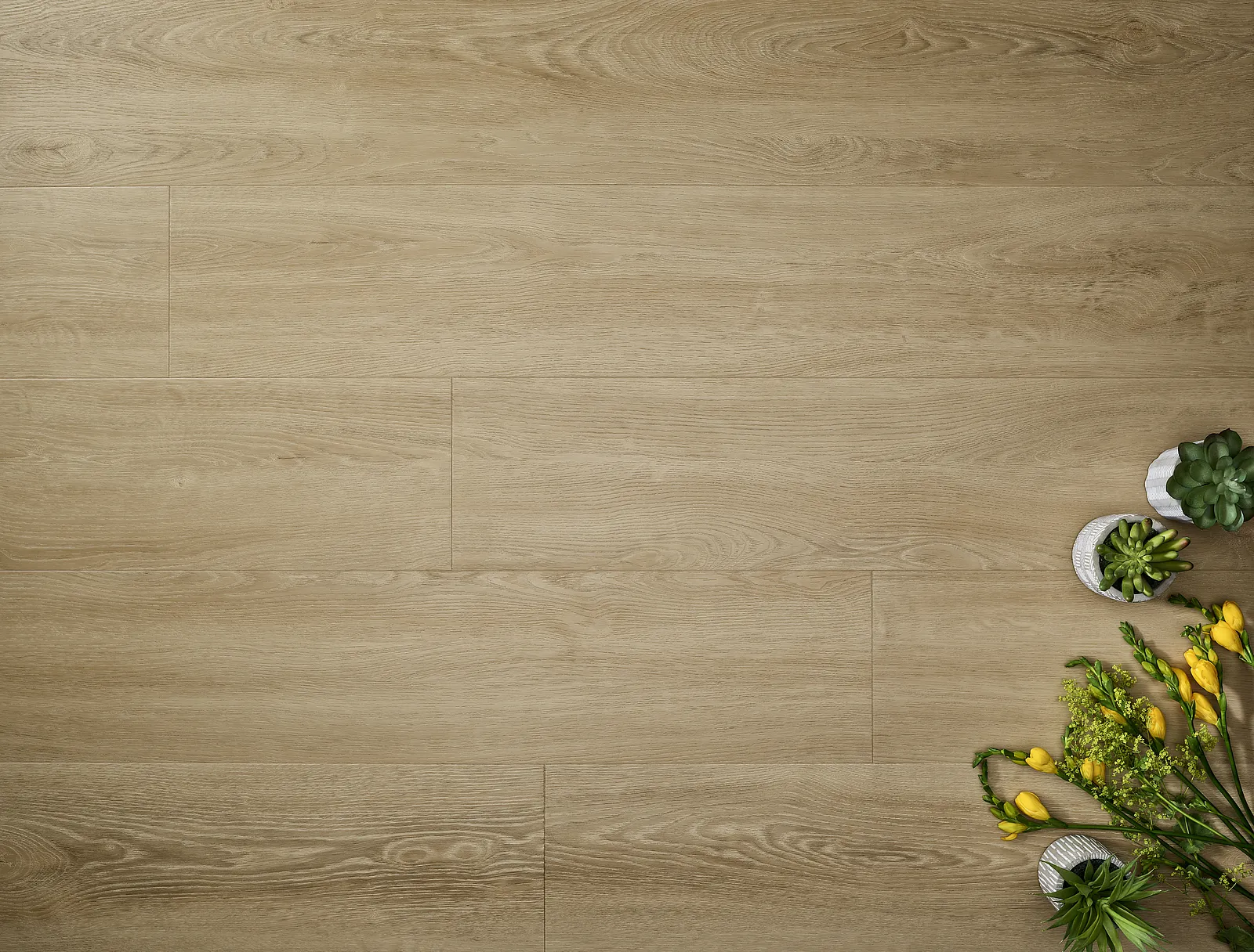 Sandy Oak plank LVT flooring